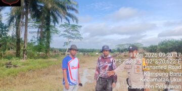 Polsek Ukui Dampingi Pemupukan Lahan Ketahanan Pangan di Desa Kampung Baru