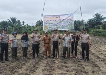 Polsek Perhentian Raja Garap 0,75 Hectar Lahan Untuk Penanaman Jagung Kuartal Ii, Dukung Swasmbada Pangan Desa Hangtuah   