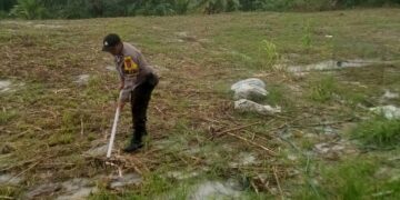 Polsek Pangkalan Kerinci Laksanakan Pembersihan Lahan Astacita untuk Persiapan Tanam Jagung Pipil