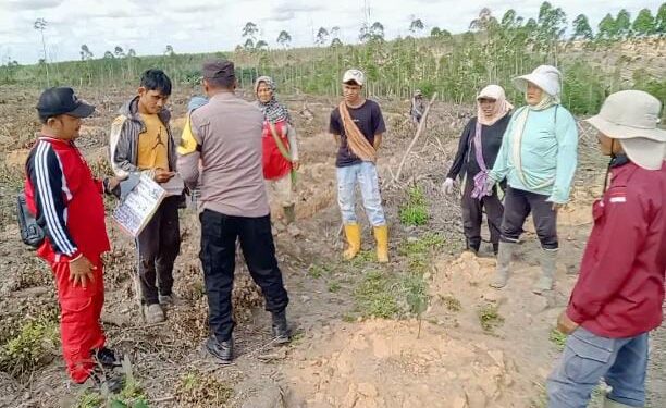 Polsek Kerumutan Tinjau Lahan Pertanian Warga, Dukung Program Ketahanan Pangan