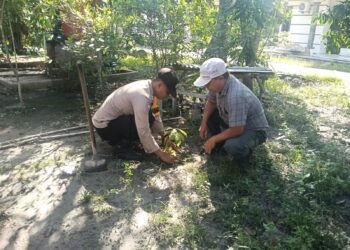 Tanam Bibit Pohon Alpukat, Polisi Dukung Green Policing dan Ketahanan Pangan