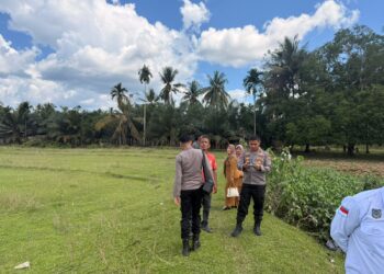 Kapolsek Cerenti Tinjau Lahan Ketahanan Pangan 6 Desa, Targetkan Panen Jagung Pipil 20 Ton