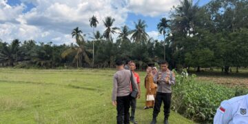 Kapolsek Cerenti Tinjau Lahan Ketahanan Pangan 6 Desa, Targetkan Panen Jagung Pipil 20 Ton