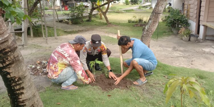 Polsek Bunut Tanam Bibit Alpukat Dukung Green Policing dan Edukasi Ketahanan Pangan