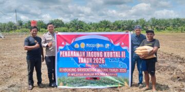 Polsek Kampar Garap 2 Hectar Lahan Untuk Penanaman Jagung, Dukung Program Asta Cita Ketahanan Pangan Desa Kayu Aro