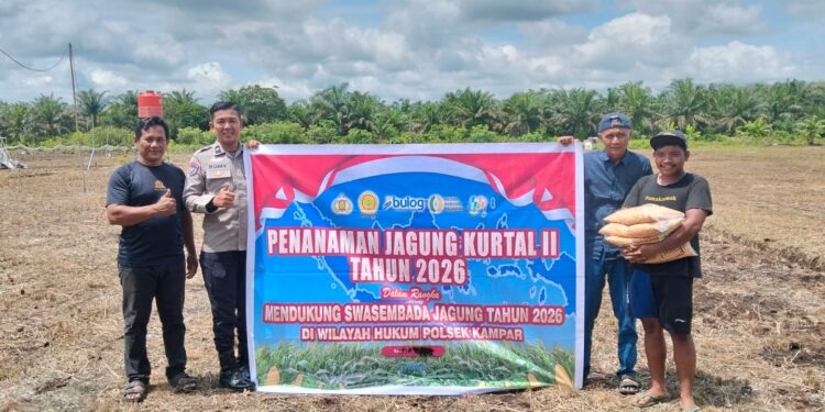 Polsek Kampar Garap 2 Hectar Lahan Untuk Penanaman Jagung, Dukung Program Asta Cita Ketahanan Pangan Desa Kayu Aro