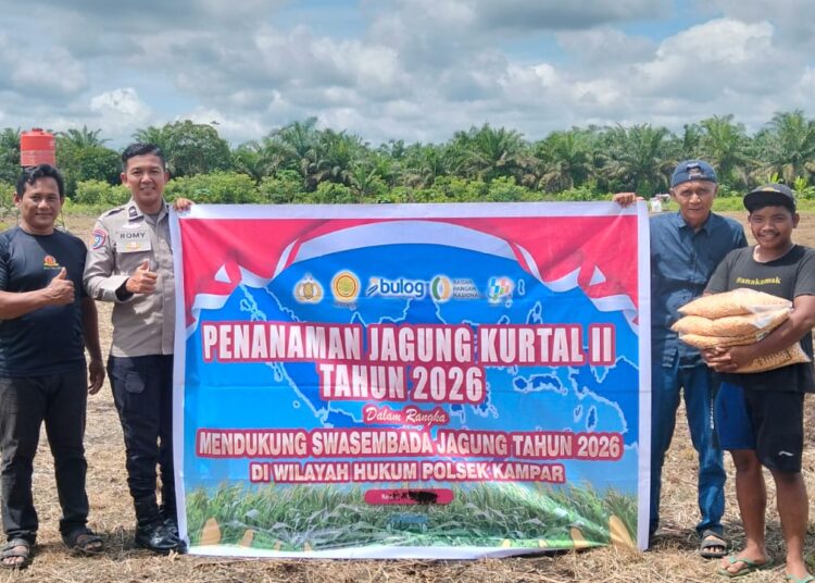 Polsek Kampar Garap 2 Hectar Lahan Untuk Penanaman Jagung, Dukung Program Asta Cita Ketahanan Pangan Desa Kayu Aro