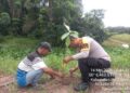 Polsek Ukui Hijaukan Lingkungan, Tanam Bibit Kakao Dukung Program Green Policing
