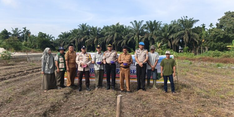 “Polsek Perhentian Raja Garap 0,5 Hectare Lahan Untuk Penanaman Jagung Pipil – Dukung Swasembada Pangan 2026 Bersama Kelompok Tani”