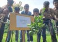 Bukan Hanya Pohon Berbuah, SMAN 4 Takengon Warnai Halaman Dengan Ubi Dan Nanas