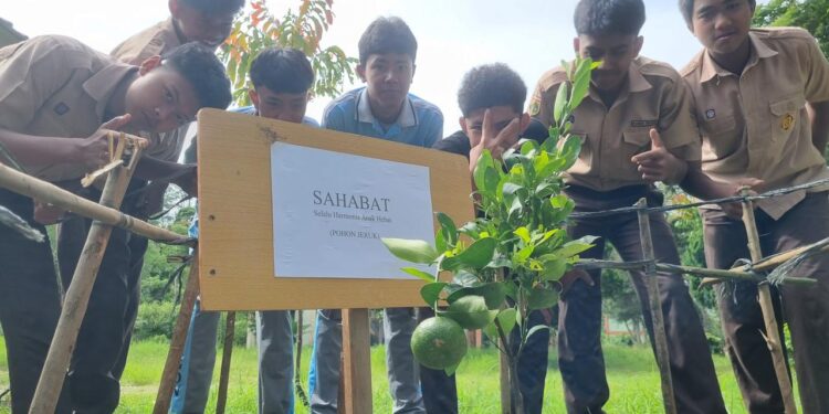 Bukan Hanya Pohon Berbuah, SMAN 4 Takengon Warnai Halaman Dengan Ubi Dan Nanas