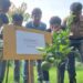 Bukan Hanya Pohon Berbuah, SMAN 4 Takengon Warnai Halaman Dengan Ubi Dan Nanas
