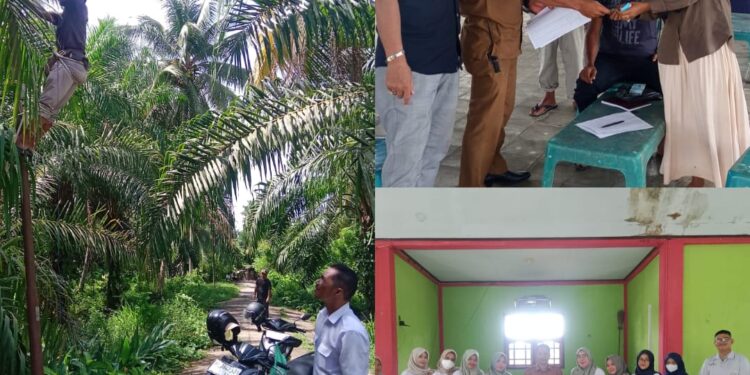 Pemerintah Gampong Pulo U Salurkan BLT, Rawat Lampu Jalan Dan Gelar Posyandu