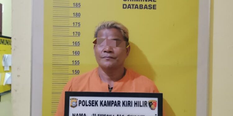 Polsek Kampar Kiri Hilir Tangkap Pelaku Pembacokan Adik Kandung Begini Kronologisnya!