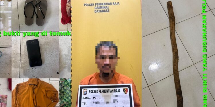 Pelaku Pembunuhan Wanita Pengepul Brondolan Sawit di Sialang Kubang Ditangkap 