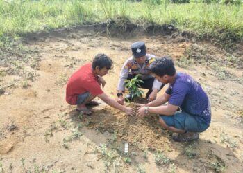 Polsek Kerumutan Tanam Pohon di Desa Pematang Tinggi, Dukung Penghijauan Lingkungan