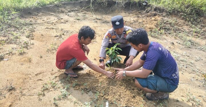 Polsek Kerumutan Tanam Pohon di Desa Pematang Tinggi, Dukung Penghijauan Lingkungan