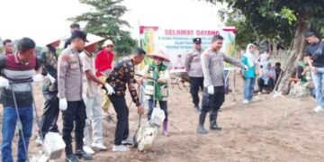 POLSEK CERENTI PIMPIN PENANAMAN JAGUNG – LAHAN KOSONG JADI PRODUKTIF UNTUK KESEJAHTERAAN MASYARAKAT”