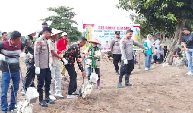 POLSEK CERENTI PIMPIN PENANAMAN JAGUNG – LAHAN KOSONG JADI PRODUKTIF UNTUK KESEJAHTERAAN MASYARAKAT”
